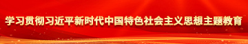 男屌艹女逼学习贯彻习近平新时代中国特色社会主义思想主题教育