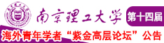 白虎操逼网站南京理工大学第十四届海外青年学者紫金论坛诚邀海内外英才！